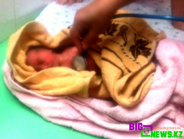 В Капчагае найден выброшенный матерью новорожденный ребенок.