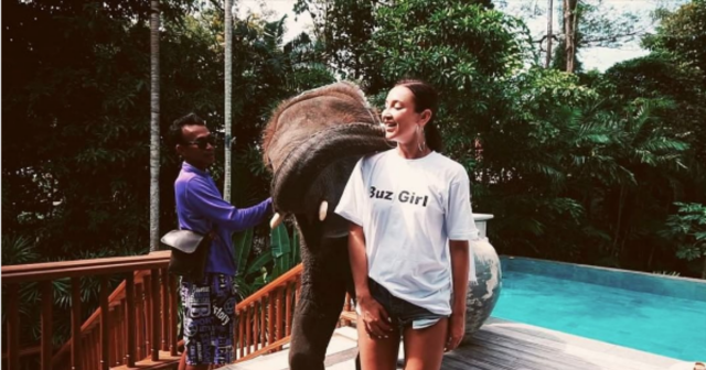 Ко дню рождения тайный поклонник Бузовой прислал слона на её виллу в Таиланде