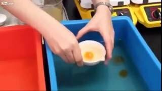 Как делают искусственные яйца из Китая видео.